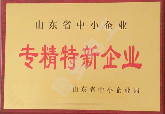 山東省專(zhuān)精特新證書(shū)